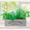 Kitchen Herb Garden Kit 1 Kitchen Herb Garden Kit -Garden Supplies Sales 2024 pl2000023930