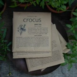 Heritage Sweet Pea Seed Gift Box -Garden Supplies Sales 2024 pl2000024349 card3 lg