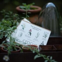 Apothecary Herbs Seed Gift Box -Garden Supplies Sales 2024 pl2000024987 card3 lg