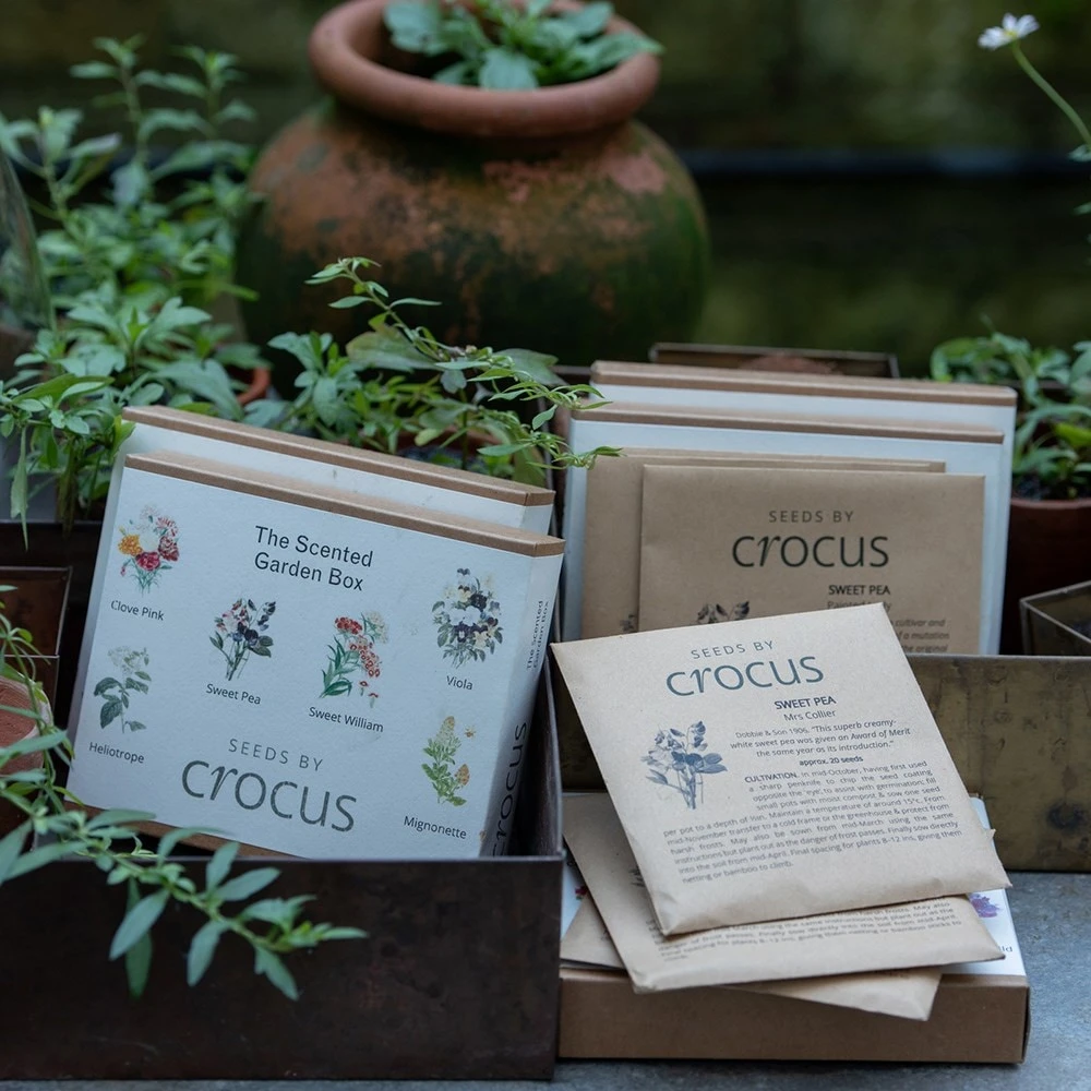 The Scented Garden Seed Gift Box 4 The Scented Garden Seed Gift Box - Image 2