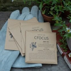 The Scented Garden Seed Gift Box 7 The Scented Garden Seed Gift Box -Garden Supplies Sales 2024 pl2000024988 card3 lg