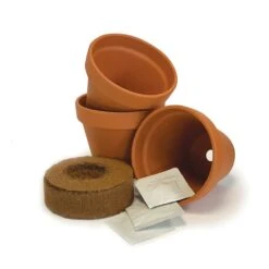 Chilli Starter Kit -Garden Supplies Sales 2024 pl2000025461 card3 lg