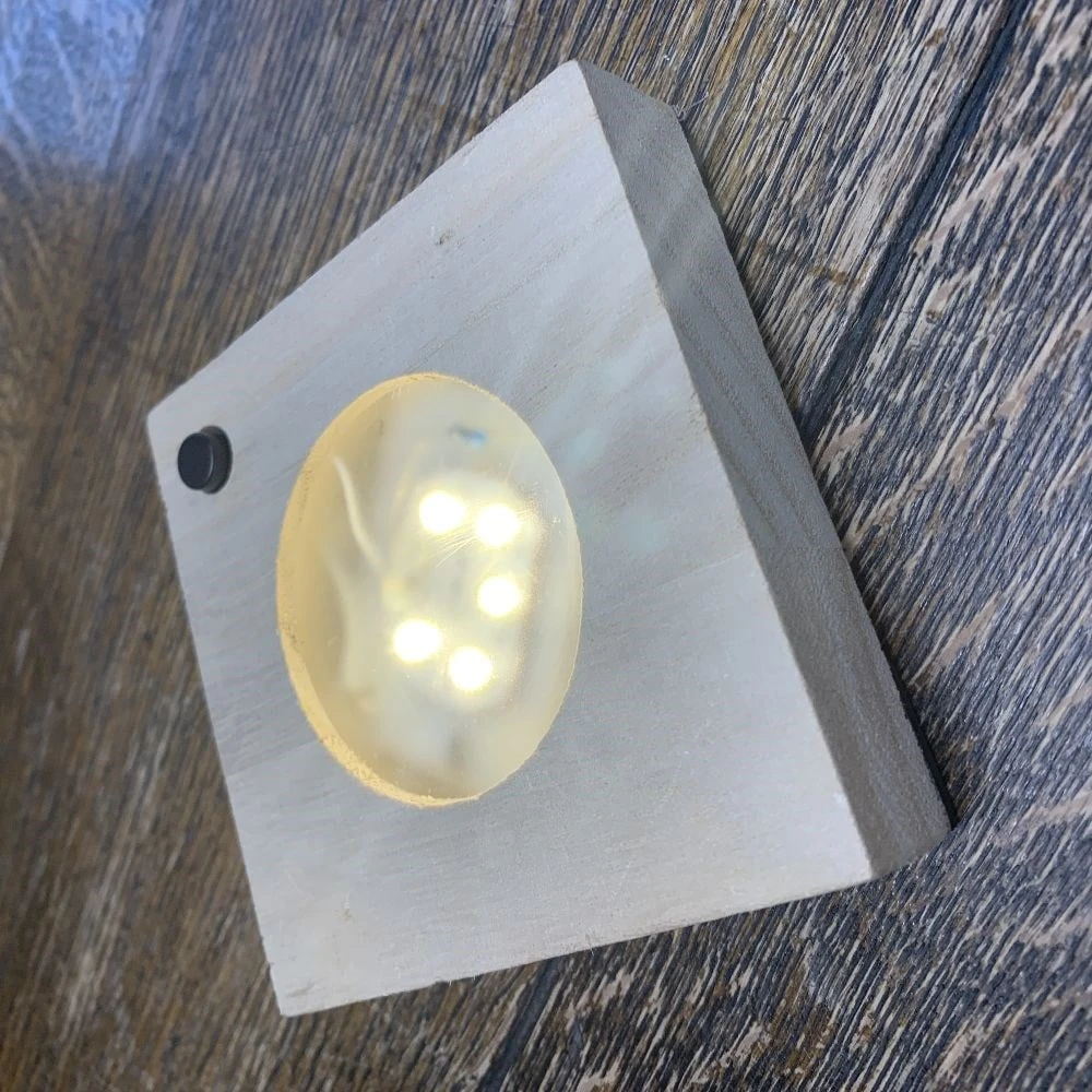 Hydroponic Clusia Rosea 'Princess' (PBR) And LED Light 7 Hydroponic Clusia Rosea 'Princess' (PBR) And LED Light - Image 5