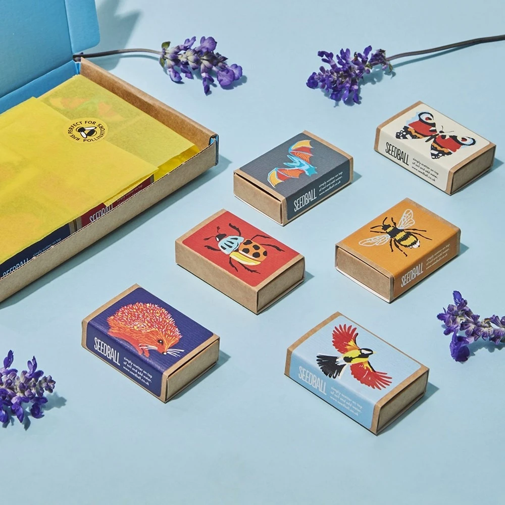 Seedballs Wildlife Collection 6 Seedballs Wildlife Collection - Image 4