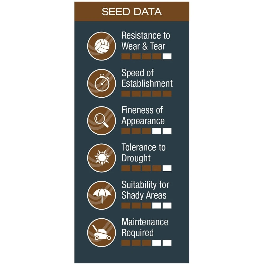 Johnsons Any Time Lawn Seed 5 Johnsons Any Time Lawn Seed - Image 3