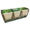 Ceramic Windowsill Herb Gift Set -Garden Supplies Sales 2024 pl2000045606