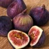 Fig 'Dauphine' 2 Fig 'Dauphine' -Garden Supplies Sales 2024 pl2000047852