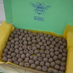 Seedballs Native Wildflowers For Wildlife -Garden Supplies Sales 2024 pl2000048352 card7 lg